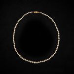 483135 Pearl necklace